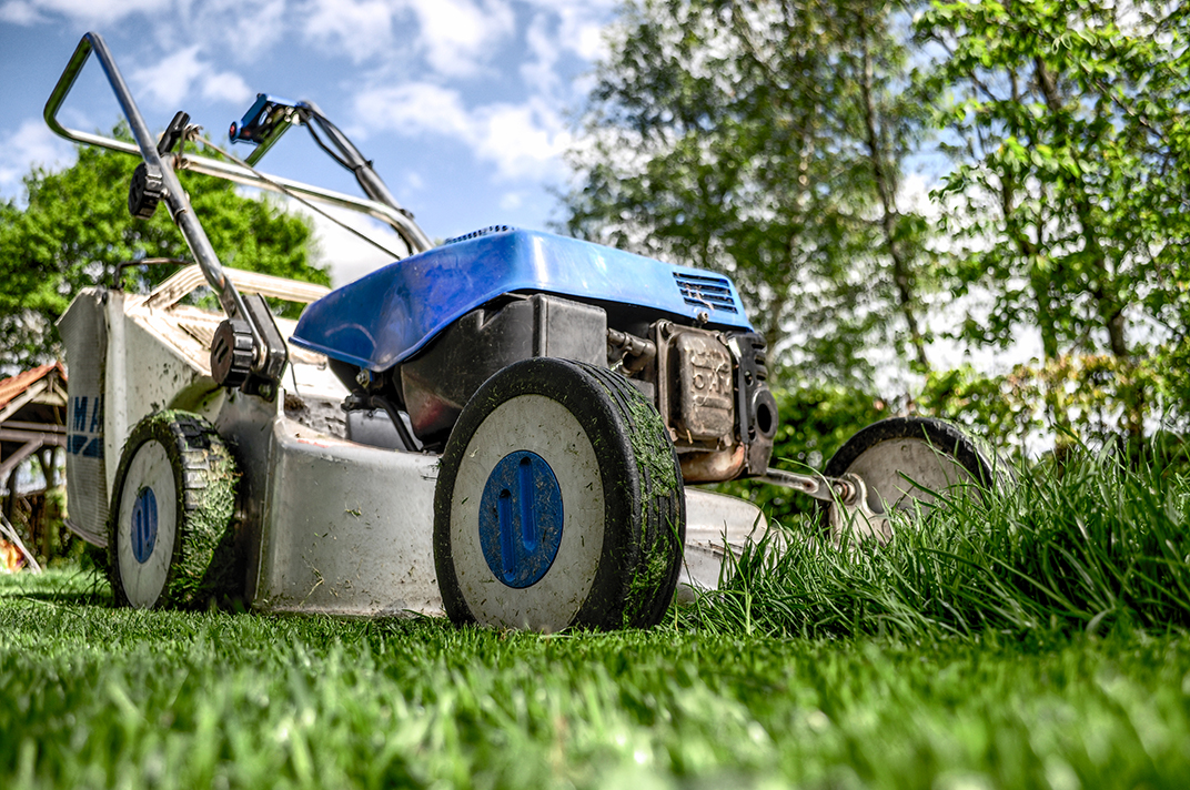 Landscape Maintenance