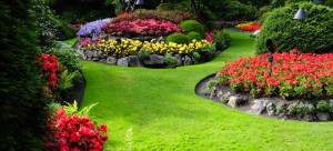 Landscaping-1018x460